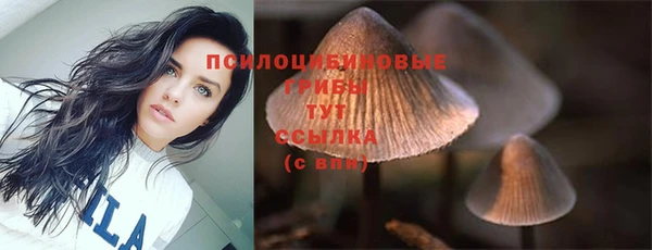 бутират Инсар