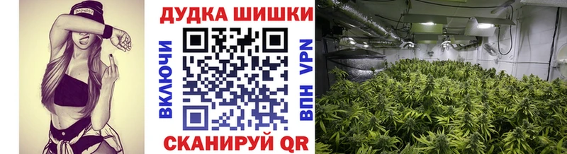 Купить закладки  Меленки  Каннабис план 
